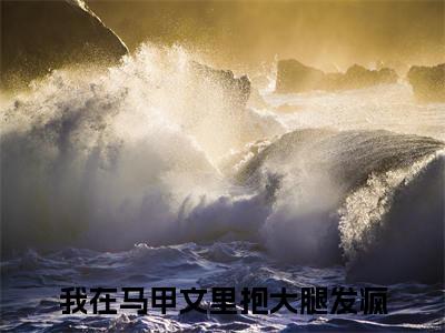 陆嗣音周子佩（我在马甲文里抱大腿发疯）全文免费阅读_陆嗣音周子佩小说最新章节列表笔趣阁