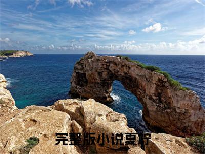 夏柠最新热门小说-（瓷盆成精后，我被送到蛮荒搞基建）最新章节免费阅读