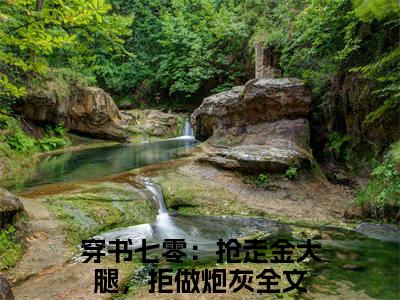 精选小说宁溪（穿书七零：抢走金大腿，拒做炮灰）全本阅读_穿书七零：抢走金大腿，拒做炮灰免费阅读_笔趣阁