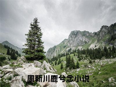 周靳川鹿兮念（周靳川鹿兮念）最新章节在线阅读-小说周靳川鹿兮念完整版阅读
