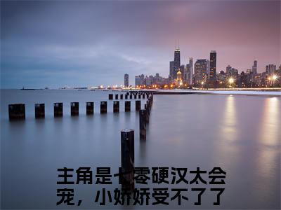 新书热荐七零硬汉太会宠，小娇娇受不了了全文免费阅读无弹窗大结局-小说秋好陆延川全文完整版免费阅读