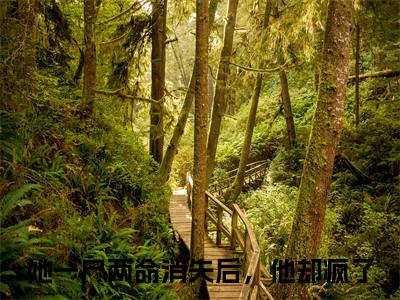 她一尸两命消失后，他却疯了（陆心雨裴璟之）小说大结局免费阅读（陆心雨裴璟之）-完结版她一尸两命消失后，他却疯了小说推荐