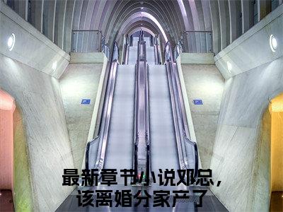 潘乐邓霍在线阅读（邓总，该离婚分家产了）全文免费阅读无弹窗大结局_邓总，该离婚分家产了免费最新章节列表