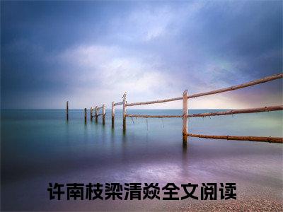 许南枝梁清焱（许南枝梁清焱）全文无弹窗阅读-精彩小说许南枝梁清焱