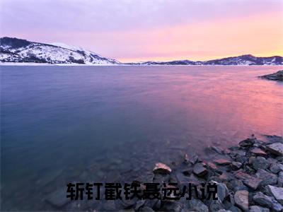 《斩钉截铁聂远》全文免费阅读无弹窗大结局_斩钉截铁聂远无弹窗全文阅读