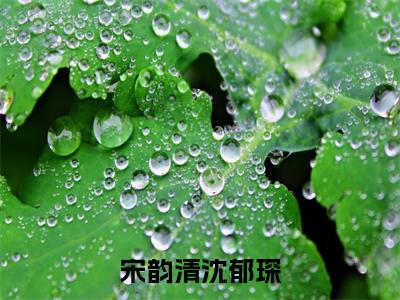 宋韵清沈郁琛小说（宋韵清沈郁琛）全文免费阅读无弹窗大结局_宋韵清沈郁琛小说最新章节列表_笔趣阁（宋韵清沈郁琛）