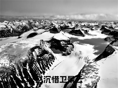 赵沉惜卫景云（赵沉惜卫景云）小说大结局全文免费阅读-赵沉惜卫景云抖音小说