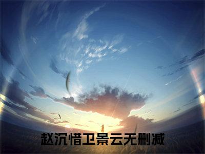 精选好书赵沉惜卫景云无弹窗免费阅读-（赵沉惜卫景云）完整版全文在线赏析