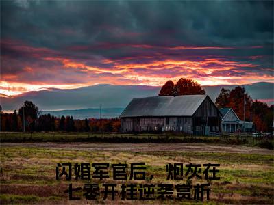 陆长征苏茉小说在线阅读-主角叫闪婚军官后，炮灰在七零开挂逆袭的小说（陆长征苏茉）完整版免费阅读全文