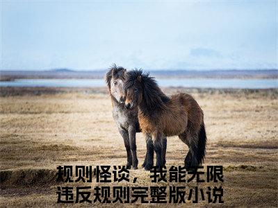 规则怪谈，我能无限违反规则全文免费无弹窗大结局_景婪纪林苏免费规则怪谈，我能无限违反规则最新章节列表_笔趣阁