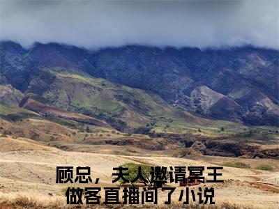 顾总，夫人邀请冥王做客直播间了（苏黎）全文免费阅读无弹窗大结局_顾总，夫人邀请冥王做客直播间了小说全文大结局