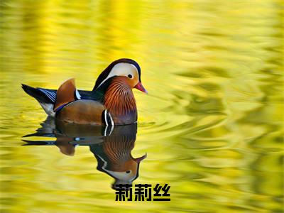 我是恐怖小说NPC全文免费阅读无弹窗大结局_（莉莉丝完结）我是恐怖小说NPC小说最新章节列表