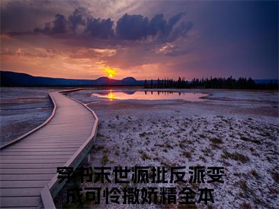 穿书末世疯批反派变成可怜撒娇精的小说全文免费阅读无弹窗，祭渊南茶的小说在线免费阅读大结局（祭渊南茶）