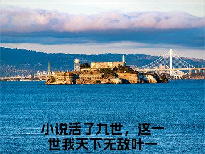 活了九世，这一世我天下无敌叶一（活了九世，这一世我天下无敌叶一）全文免费阅读无弹窗大结局_活了九世，这一世我天下无敌叶一最新章节列表
