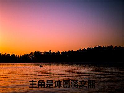 沐蕊蒋文熙后续+番外（沐蕊蒋文熙）全文免费阅读无弹窗大结局_（沐蕊蒋文熙后续+番外）沐蕊蒋文熙免费阅读无弹窗最新章节列表（沐蕊蒋文熙后续+番外）