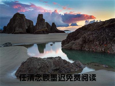 任清念顾墨迟（任清念顾墨迟小说）全文免费阅读无弹窗大结局_（任清念顾墨迟）任清念顾墨迟最新章节列表笔趣阁（任清念顾墨迟）