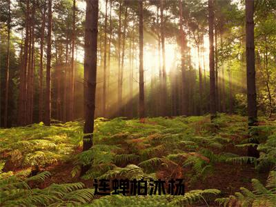 连蝉柏沐杨小说大结局免费阅读-完结版连蝉柏沐杨小说免费阅读