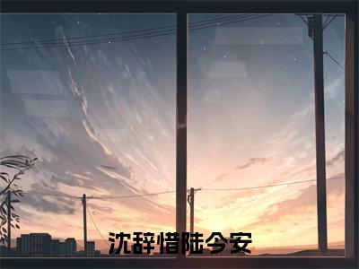 沈辞惜陆今安（沈辞惜陆今安）全文免费阅读无弹窗_沈辞惜陆今安最新小说_笔趣阁