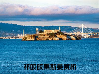 祁皎皎禹斯晏小说大结局-精彩美文祁皎皎禹斯晏免费阅读