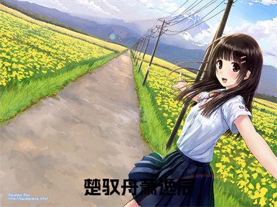 楚驭舟萧逸辰完整版 楚驭舟萧逸辰小说全文在线阅读