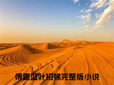 傅霆盛叶招娣小说免费（贪蜜）全文免费阅读无弹窗-傅霆盛叶招娣小说全文免费阅读-笔趣阁