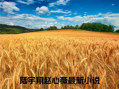 陆宇翔赵心薇精彩章节在线阅读-陆宇翔赵心薇美文欣赏