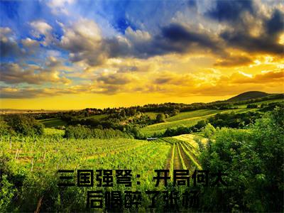 三国强弩：开局何太后喝醉了张杨小说全文阅读无弹窗大结局_（三国强弩：开局何太后喝醉了张杨）最新章节列表_笔趣阁
