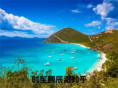 时笙顾辰澈全本小说无弹窗阅读-时笙顾辰澈（时光等不来余生）精彩热门小说