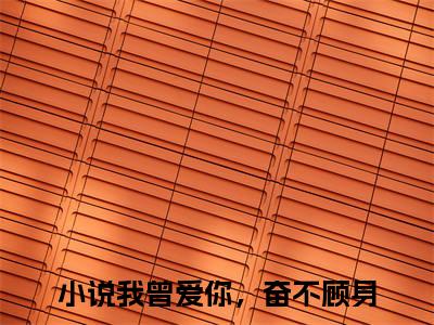 沈亦琛唐芷淇（我曾爱你，奋不顾身全文在线阅读）-沈亦琛唐芷淇小说（我曾爱你，奋不顾身）免费阅读最新章节列表无弹窗