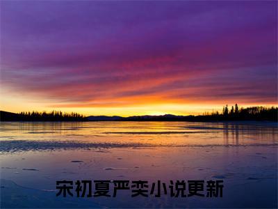 宋初夏严奕全文免费阅读无弹窗大结局，宋初夏严奕小说精彩免费试读