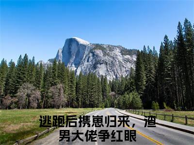逃跑后携崽归来，渣男大佬争红眼长篇免费小说，叶兰音裴应淮最新章节在线阅读