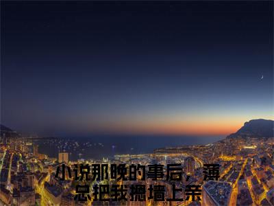 薄瑨深苏星梨全文（那晚的事后，薄总把我摁墙上亲）全文免费阅读无弹窗大结局_那晚的事后，薄总把我摁墙上亲全文最新章节列表