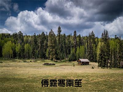 傅霖寒南笙（傅霖寒南笙）小说在线阅读_傅霖寒南笙全本免费小说阅读（傅霖寒南笙）