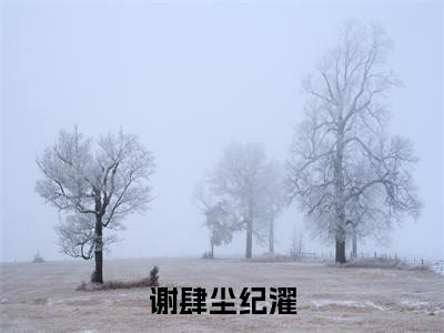 谢肆尘纪濯（谢肆尘纪濯小说）在线阅读全文-谢肆尘纪濯小说免费阅读完结版全文