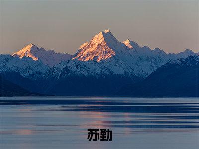 苏勤最后结局如何，悟性逆天：高考悟道，手撕电磁炮强推全文阅读无弹窗