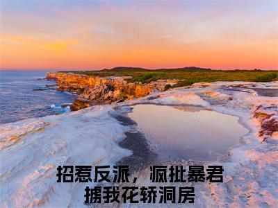 林立夏姬慎小说全文免费阅读_（林立夏姬慎）招惹反派，疯批暴君掳我花轿洞房小说最新章节列表笔趣阁