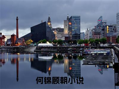 何锦顾朝小说最新章节免费阅读-何锦顾朝全文赏析完整版