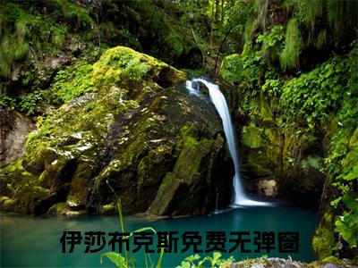 主角是伊莎布克斯的小说-精选热门小说（伊莎布克斯）
