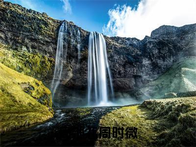 周池礼周时微（周池礼周时微）全文免费阅读无弹窗大结局_(周池礼周时微免费阅读)周池礼周时微最新章节列表_笔趣阁