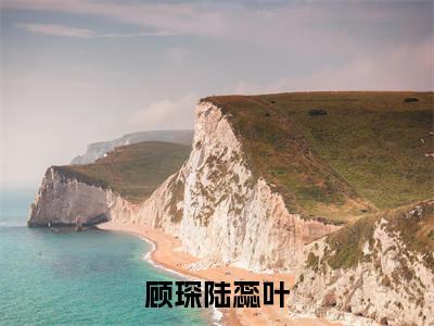 顾琛陆蕊叶阅读无弹窗大结局_（顾琛陆蕊叶阅读无弹窗）最新章节列表_笔趣阁（顾琛陆蕊叶）