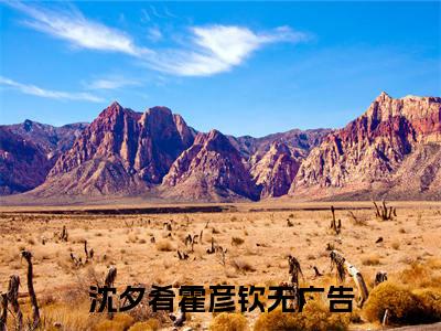 沈夕肴霍彦钦（沈夕肴霍彦钦）全文免费阅读无弹窗_沈夕肴霍彦钦最新小说_笔趣阁（沈夕肴霍彦钦）