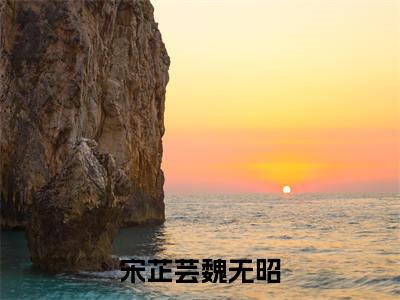 高赞小说他只是我漫长生命里的过客（宋芷芸魏无昭）完结阅读_宋芷芸魏无昭他只是我漫长生命里的过客免费看全文