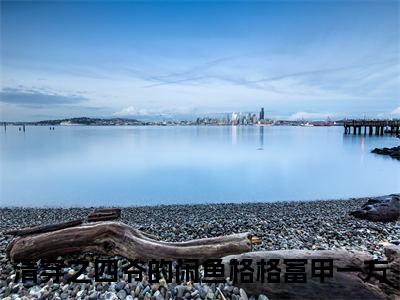 耿新月胤禛清穿之四爷的闲鱼格格富甲一方小说热门全集在线观看耿新月胤禛免费章节试读