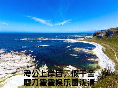 沈清陆野（考公上岸后，假千金磨刀霍霍娱乐圈）精选好书-考公上岸后，假千金磨刀霍霍娱乐圈无删减版在线阅读（考公上岸后，假千金磨刀霍霍娱乐圈全文免费阅读）