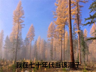 叶南星（我在七十年代当该溜子）正版小说最新章节在线阅读_（我在七十年代当该溜子全文免费阅读无弹窗）