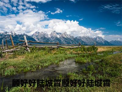 顾好好陆城霄小说（顾好好陆城霄）免费阅读_顾好好陆城霄小说免费阅读-笔趣阁