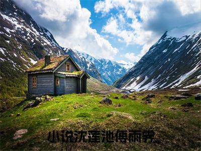 沈莲池傅雨霁小说（春动莲台）全文免费阅读无弹窗大结局_（沈莲池傅雨霁）春动莲台最新章节列表