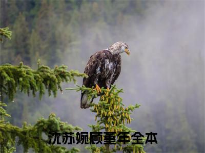 沈苏婉顾堇年沈苏婉顾堇年完整全文在线阅读沈苏婉顾堇年抖音热推小说全集无删减
