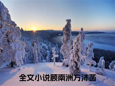 顾南洲方沛菡（顾南洲方沛菡）全文免费阅读无弹窗大结局_（顾南洲方沛菡）全文最新章节列表