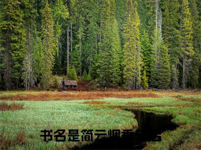 简云烟季云启免费阅读全文免费阅读无弹窗大结局_（简云烟季云启小说免费阅读）简云烟季云启最新章节阅读